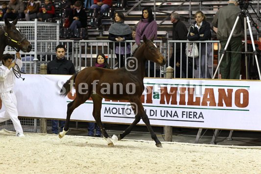 PAN CARRE_MILANO_2010_SS3_8383.jpg